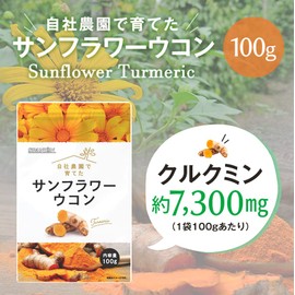 SPANION ターメリックパウダー 100g 無農薬栽培 自社農薬検査合格 国内製造 ウコン 粉末