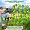MQHUAYU Cucumber Trellis for Raised Bed,U-Shape Garden Trellis for Climbing