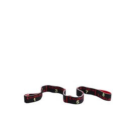 Pack Elastiband Sveltus 15 kg