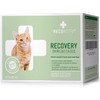 RECOACTIV Immune Recovery for Cats, 3 x 90 ML, Highly caloric Complete Dietary Diet in Case of Undernutrition and Convalescence Thus for Weight Gain
