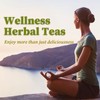FullChea - Nettle Leaf Tea Bags, 25 Teabags, 1.5g/bag -