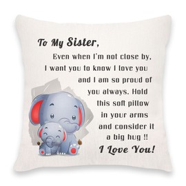 Hardeson Sister Cushion Cover Gifts from Big Little Sister Brother, Funny Throw Pillow Covers Pillowcase Birthday for Sister