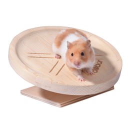 Spidi Solid Wood Running Plate for Small Animals, Quiet Running Platform for Hamsters, Gerbils and Dwarf Hamsters, Diameter 20 cm, Back-friendly and Stable