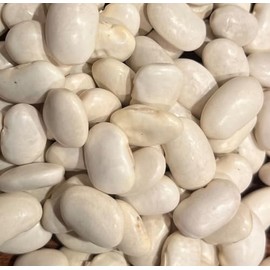 Ayocote Blanco Bean Heirloom Seeds for Planting Packet