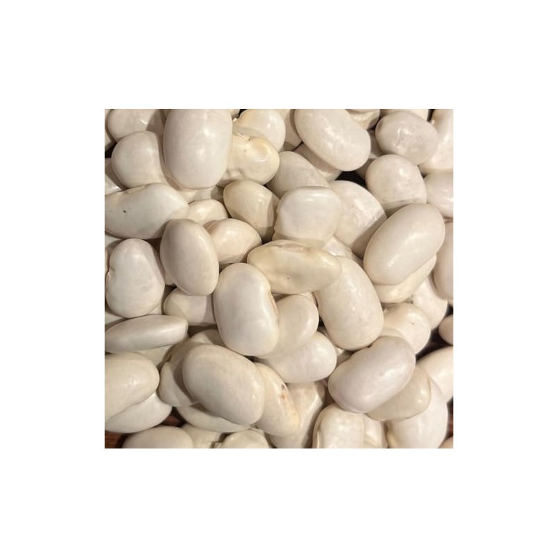 Ayocote Blanco Bean Heirloom Seeds for Planting Packet