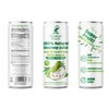 Elephant World 100% Natural Soursop Guanabana Juice 10.8 oz (Pack