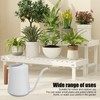 Stainless Steel Watering Can Pot Retro Small Plant Watering Can
