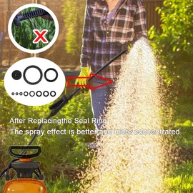 11Pcs Sprayer Seal Rings Spare Parts Rubber Machine Accessories Irrigation Accessories Universal for Most 3L 5L 8L 1 Gallon 2 Gallon Chapin 20000 Sprayer (1 Pack)