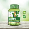 The 'Verde Egcg 60cps