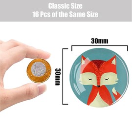 AKbik Pack of 12 Magnets for Magnetic Board, 30 mm Fridge Magnets Round, Glass Magnets Fridge, Funny Fox Pattern Fridge Magnets Children, Magnets Small for Office, Whiteboard, Fridge