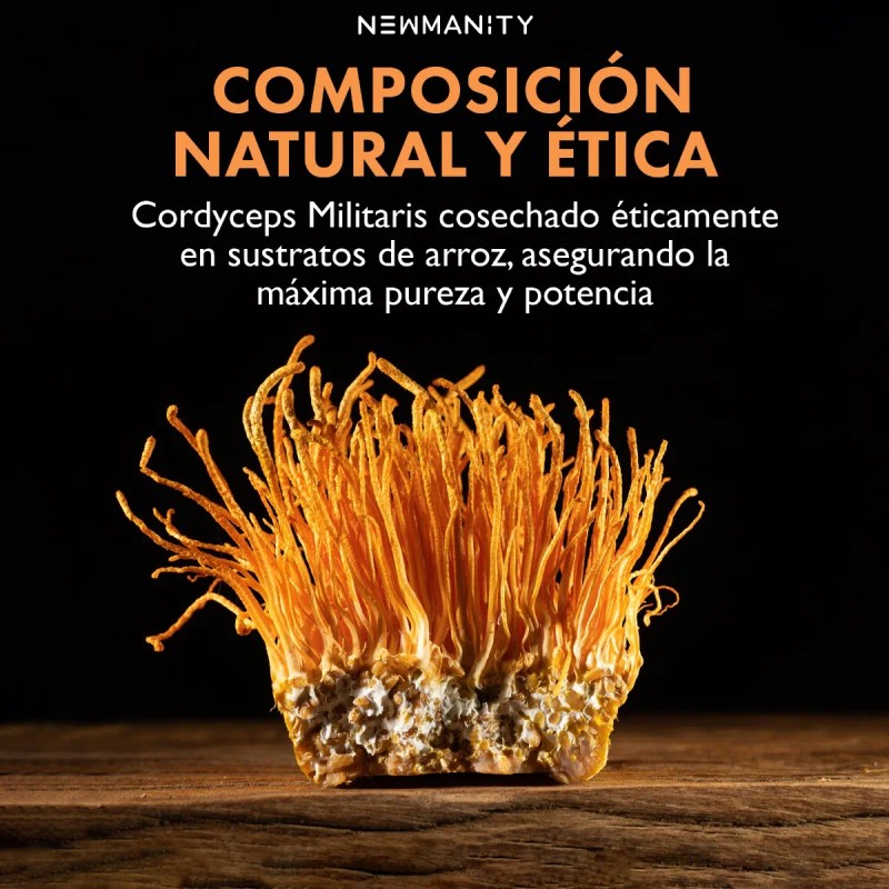 Cordyceps Militaris Newmanity 300 Caps Sin Sabor