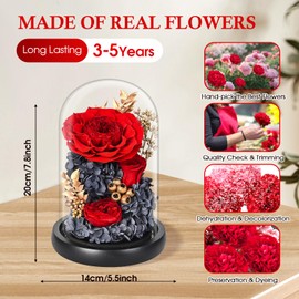 TERRALYX Preserved Roses in Glass Dome,Eternal Rose & Peony with Led Light,Forever Flowers,Long Lasting Forever Flowers,Birthday Flowers for Women,Valentine Mother's Day Anniversary Thanksgiving