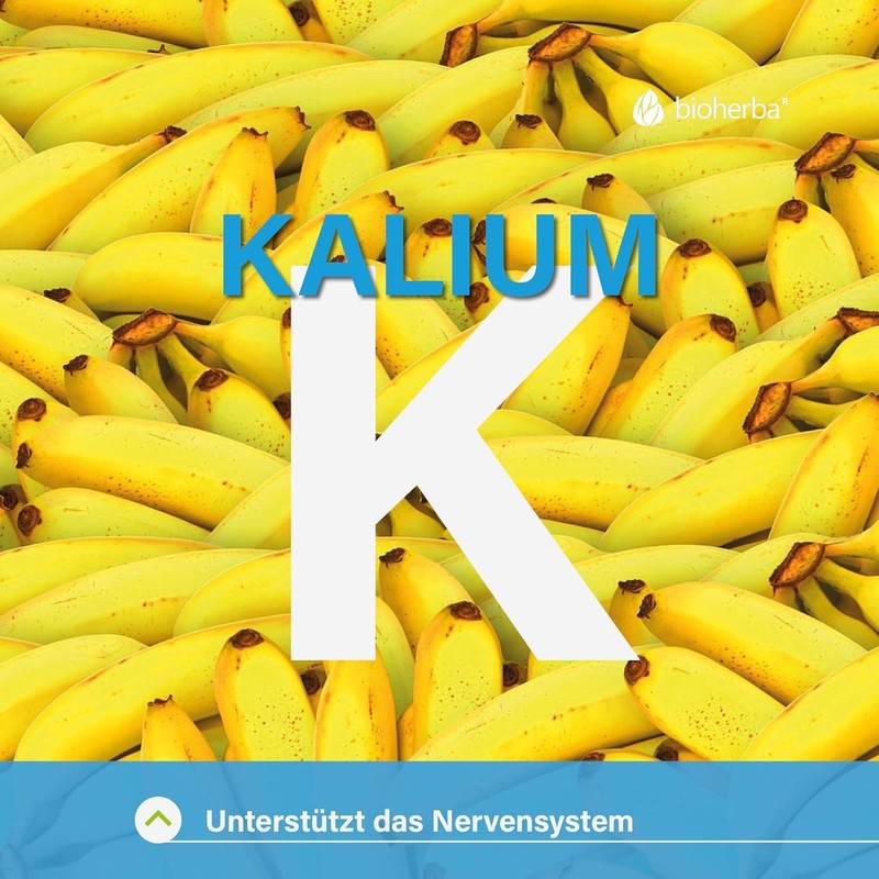 Blutdruck-Formel mit Kalium – 300 Kapseln mit Weißdorn- & Weinreben-Extrakt