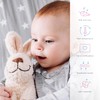 2 Piece Baby Children Quilt Duvet & Pillow Set 80x70