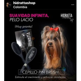 Hidratta Premium Pet Pin Brush “Butter” – Comfortable Pin Brush for Dogs & Cats, Long & Short Hair, Stainless Steel Pins, Anti-Tangle Grooming Tool