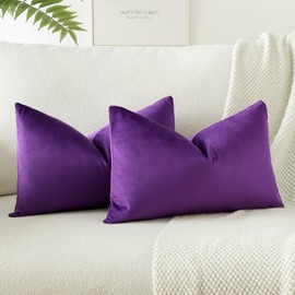 JOTOM Set of 2 Velvet Soft Solid Cushion Covers 30x50 cm Decorative Throw Pillow Covers Soft Lumbar Cushion Case Couch Home Decor Throw Pillow Cases for Sofa Bedroom 12x20 Inch (Purple)