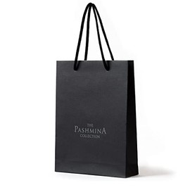 Pashmina Collection Handbag 1 Piece 8.7 x 11.2 x 2.4 inches (22 x 28.5 x 6 cm)