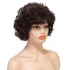 Short Brown Curly Wig for Women Dark Brown Length Shoudler