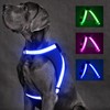 ChalkLit Light Up Dog Harness, No Pull Led Dog Harness
