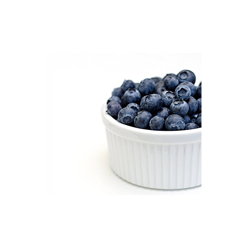 FruitCeuticals Organic Blueberry Powder Made with 100% Whole Fruit Wild