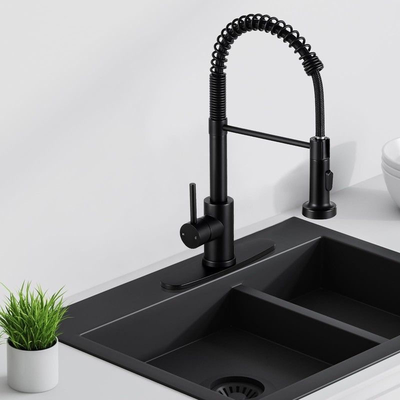 DJS Kitchen Faucets with Pull Down Sprayer Matte Black -