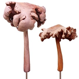 ART-CRAFT 2 Parasol Old Garden Stakes Decorative Mushrooms Made of Wood Carved by Hand 15 cm and 22 cm High