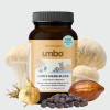 Lion's Mane + Maca + Ginseng | 4 Adaptogenos |