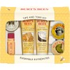Burt's Bees Tips and Toes Kit Holiday Gift Set, 6