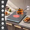 Karinear 2 Burner Electric Cooktop 110V, 12 Inch Countertop &