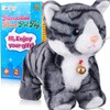 Marsjoy Interactive Plush Cat, Plush Toys, Grey Robot with Touch