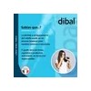 Shampoo Force Acido Hialuronico Para Cabello De Dibal 300 G