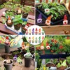 Xsybegdlk Gnom Gartenstecker, Dekorative Gartenstecker für Garten Ornament Yard Zwerg