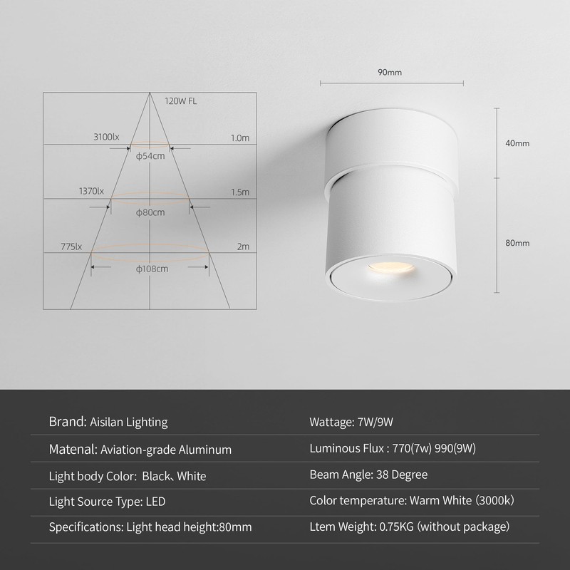 Aisilan LED Indoor White Ceiling Spot Light 9W Surface Mounted