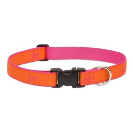 LupinePet Club 1" Sunset Orange for Medium and Large Dogs
