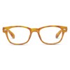 Peepers by PeeperSpecs unisex-adult Clark Reading Glasses, Honey Tortoise, 49
