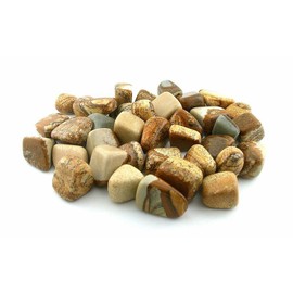 1/2 Pound Picture Jasper Tumble Polish Polished 3/5 to 9/10 Inch Gemstone T19