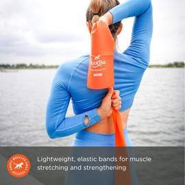 Tiger Tail Resistance Bands 2-Pack Therapy and Muscle Training, Medium and Heavy