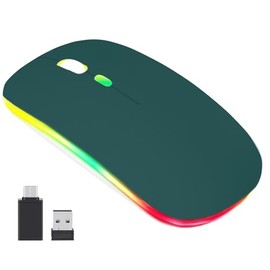 Mouse Inalámbrico, 2.4G LED Mouse Bluetooth, Ratón Bluetooth Recargable con Receptor USB y Adaptador Tipo-C, Click Silencioso, 3 Ajustable DPL Ratón para Portátil, PC,Mac