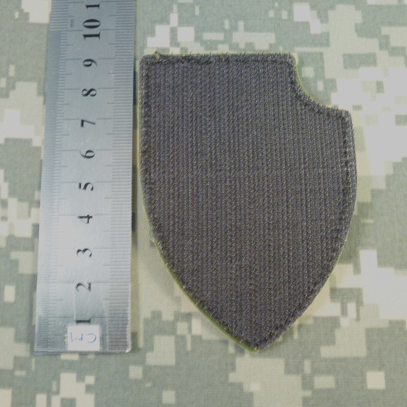 Skull Shield Morale Tactical PVC Patch (Blackout Subdued) (Olive Drab)