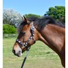 Rhinegold Unicorn Headcollar and Rope Set - Shetland - Black
