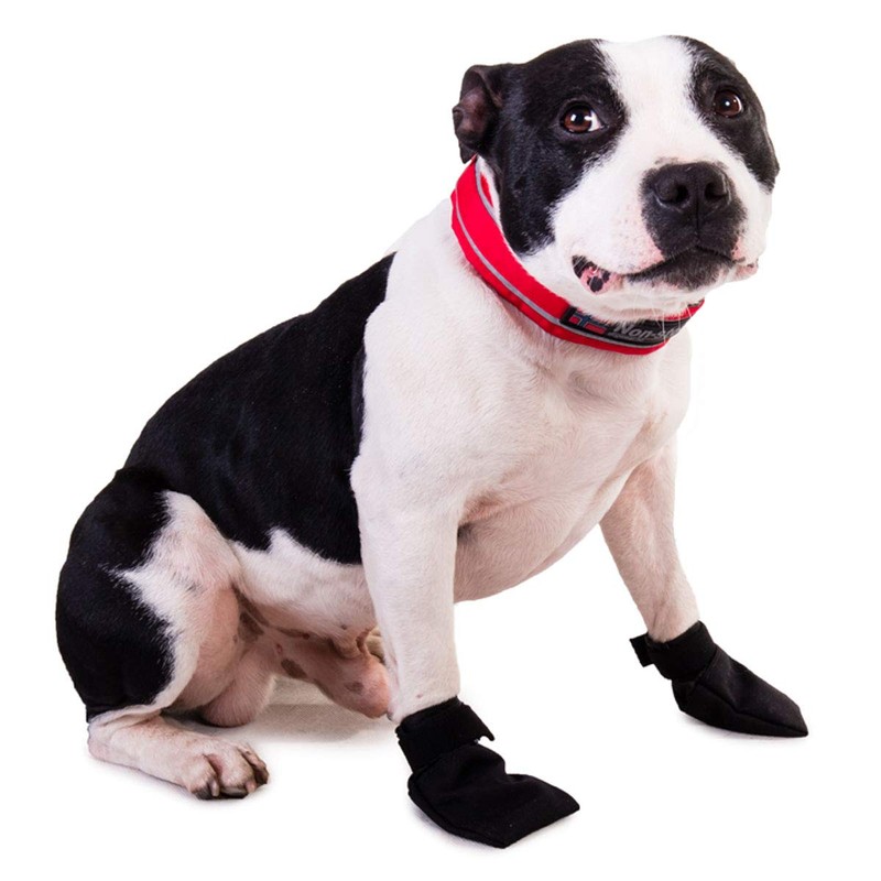 NON-stop dogwear Dog Shoes Solid Booties 1 Pair (M)