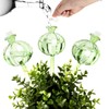 KGCCIZI Self Watering Planter Insert. Plant Watering Devices. 3-Pack Cactus