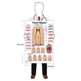 Tooth Repair Poster, Chart (PVC, Large 24x36)