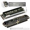 East top Harmonica Blues Harmonica 13 Holes Gateri Jazz Expert