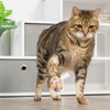 Huxley & Kent Cat Toy | I'm Sweet Lollipop |