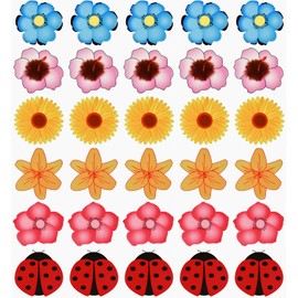 Flintronic Pack of 30 Window Fly Trap, Fly Bait for Windows, Fly Trap Indoor, Effective Fly Trap Indoor, Fruit Fly Trap Kitchen