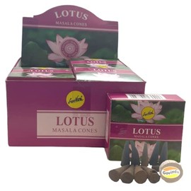 Sreevani Natural Masala Incense Cones and Holder Bundle, 120 Cones Total, Lotus