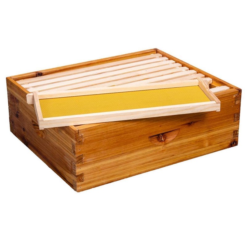10-Frame Beehive Box Langstroth Medium Super Bee Box for Sale
