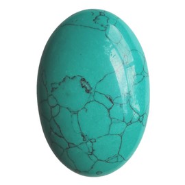 Lovionus89 Synthesis Green Howlite Turquoise Worry Stones, Natural Oval Palm Tree Bag Healing Crystal Massage Spa Energy Stone