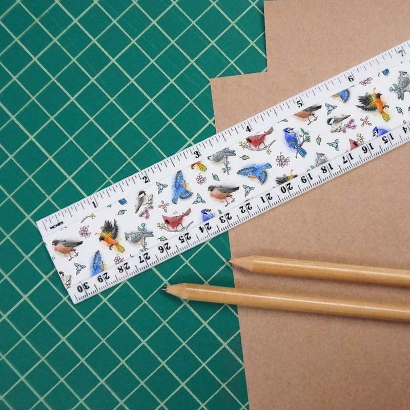 Northeastern Birds Pattern 12 Inch Standard and Metric Plastic Ruler